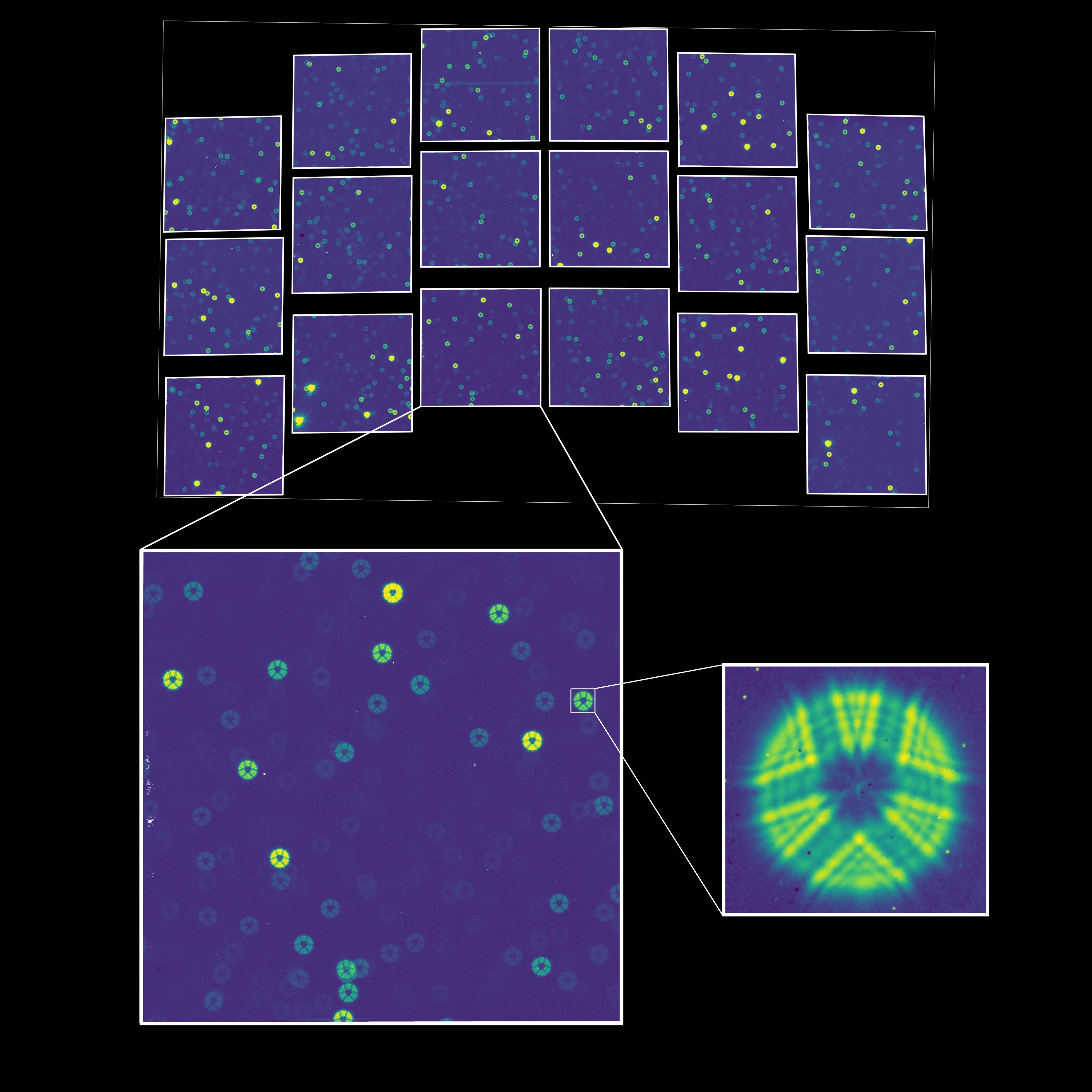 The Wide Field Instrument's first-photons test image: out-of-focus stars across the 18 detectors
